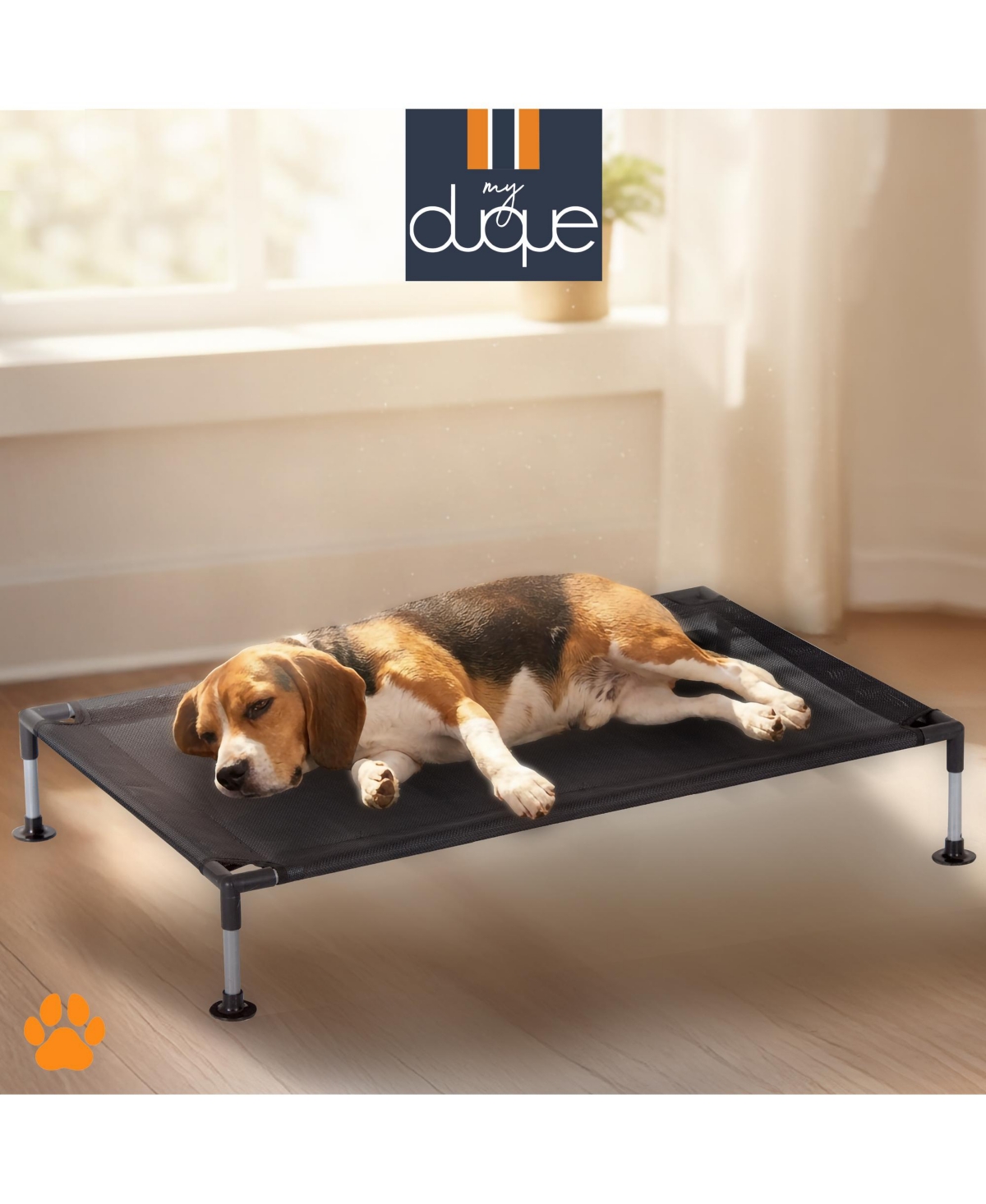 My Duque: Coola Bed
