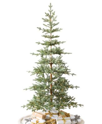 Alpine Balsam Fir|6.5|LEDCF