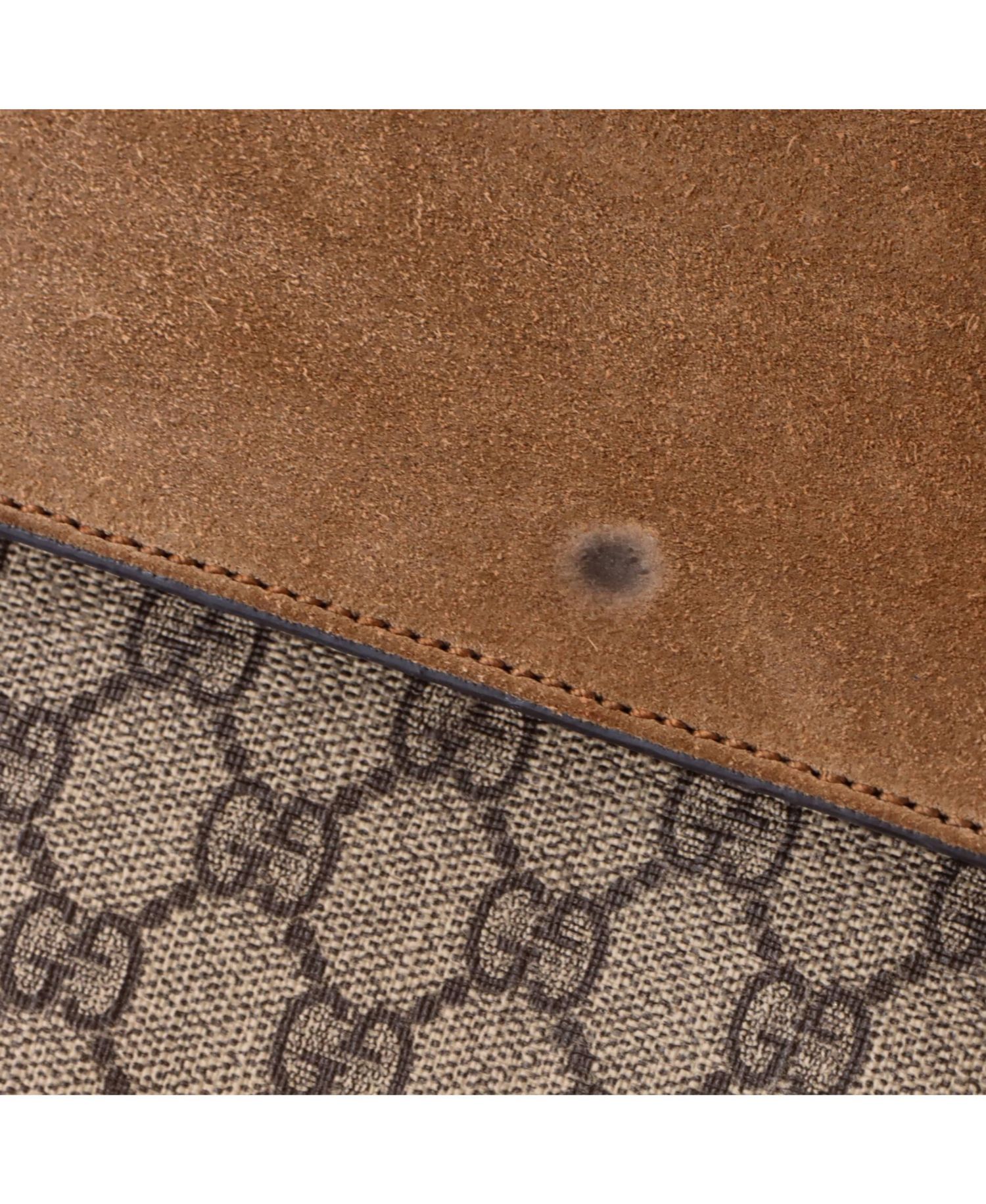 Small Dionysus Bag GG Coated Canvas