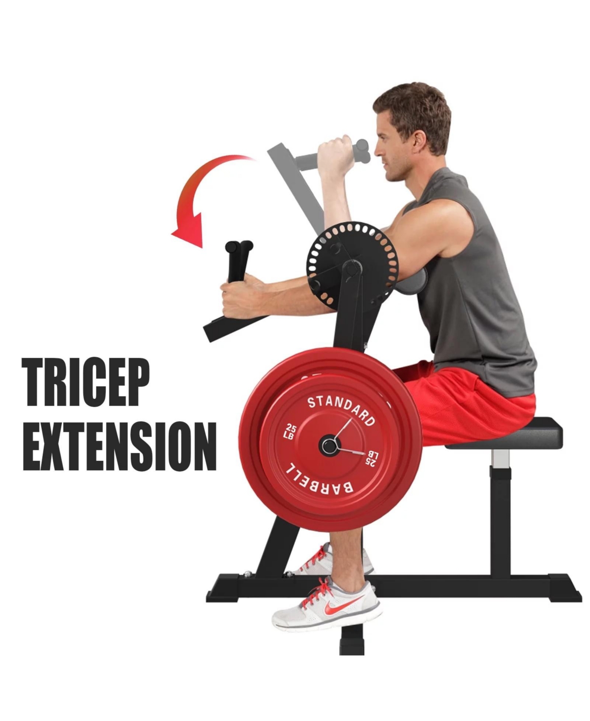 Syedee Bicep Tricep Preacher Curl Machine, Adjustable Seat, 2 in 1 Plate-loaded Preacher Curl Machine for Home Gym
