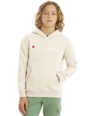 Boys' 8-20 Signature Logo Hoodie