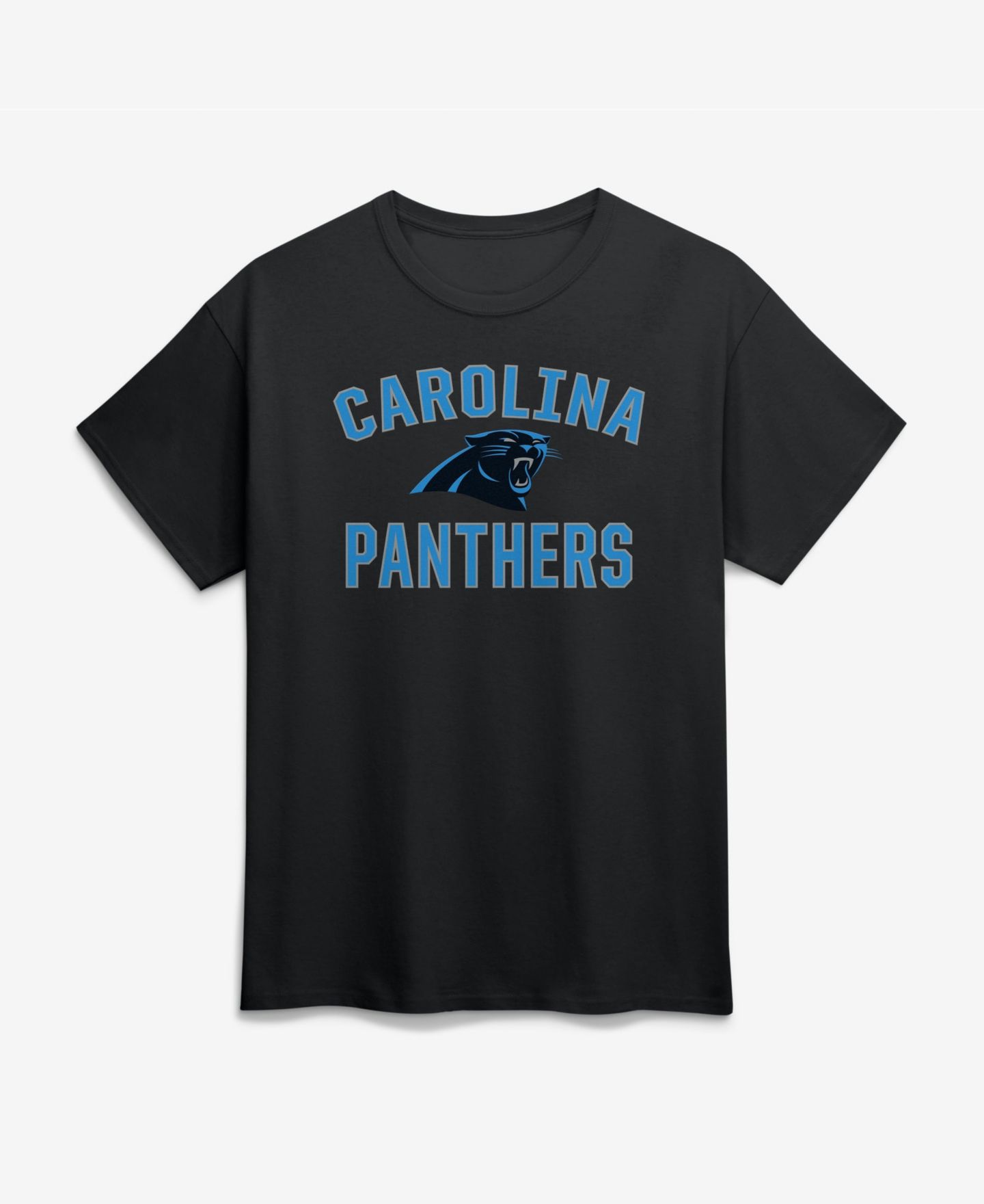Мужская футболка Logo Athletic Carolina Panthers Arch Victory Graphic — фото 1