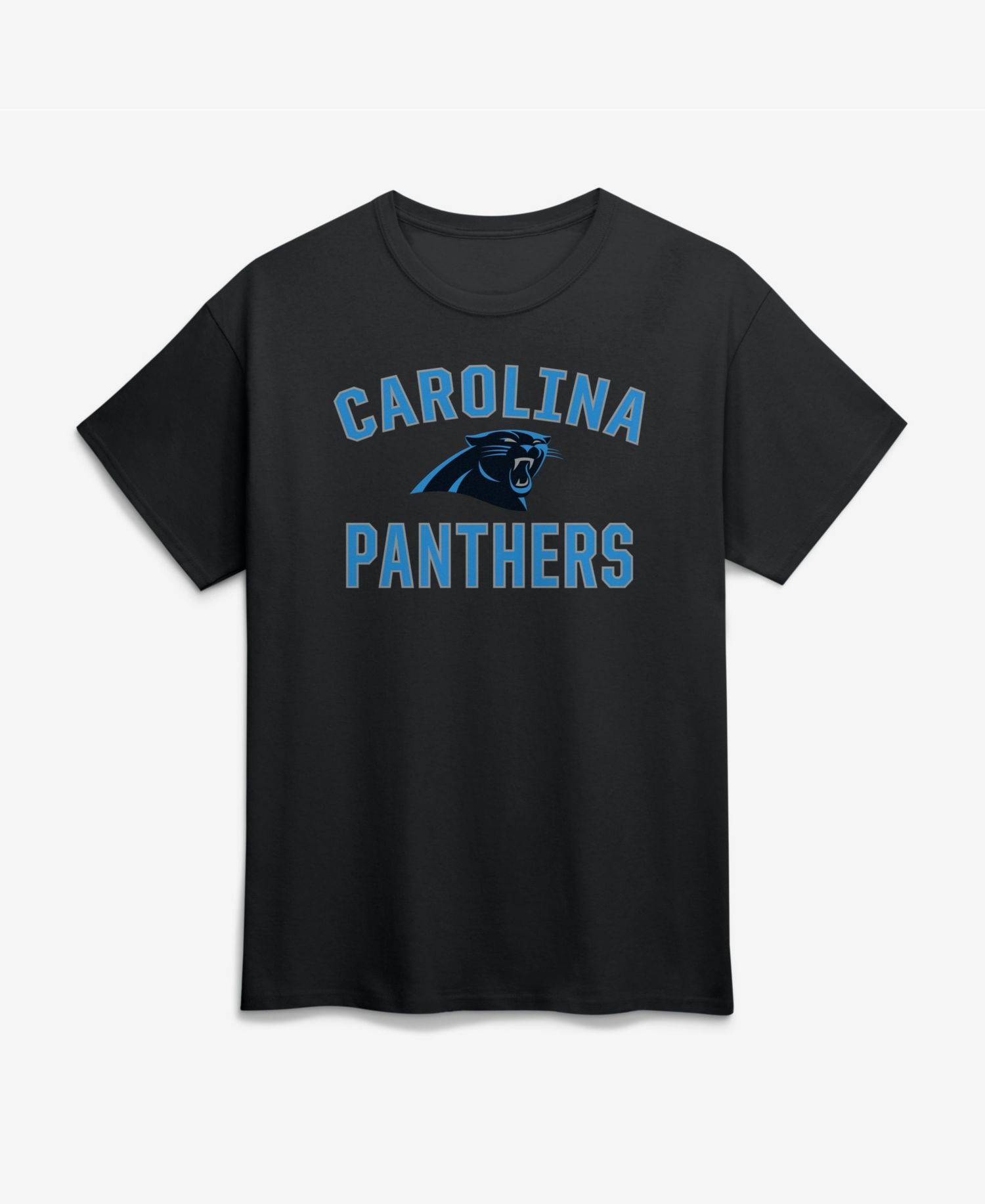 Men's Carolina Panthers Arch Victory Graphic T-Shirt