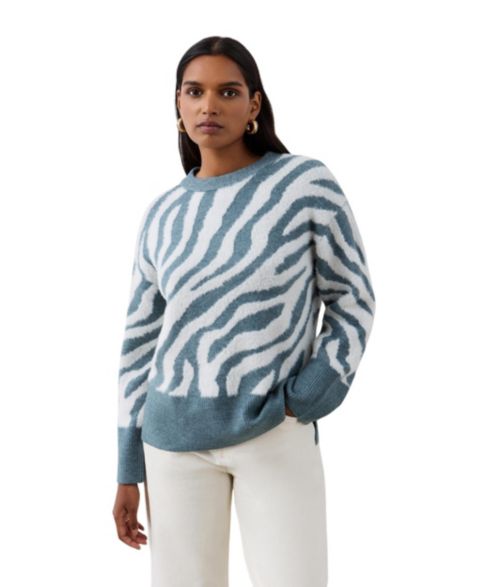 Женский свитер Finery London Tully Animal Print Long-Sleeve, цвет: Зебра