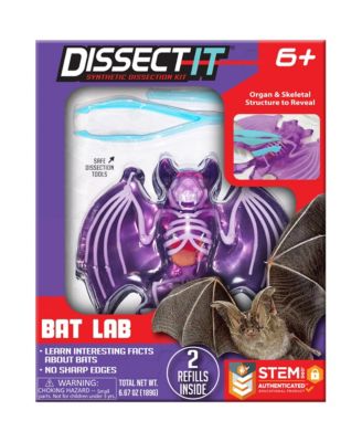 Bat Lab Realistic Dissection Kit, Ages 6+