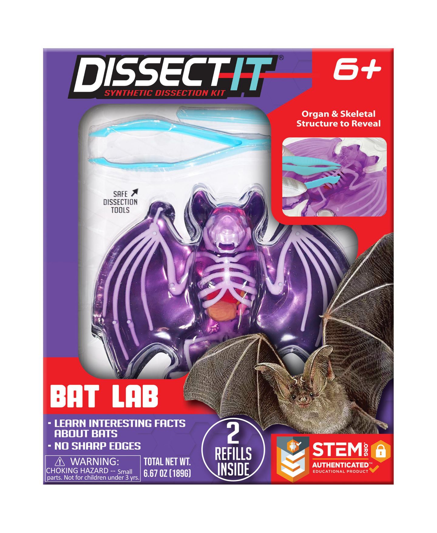 Детские игрушки Dissect-It Bat Lab Realistic Dissection Kit, Ages 6+ — фото 1