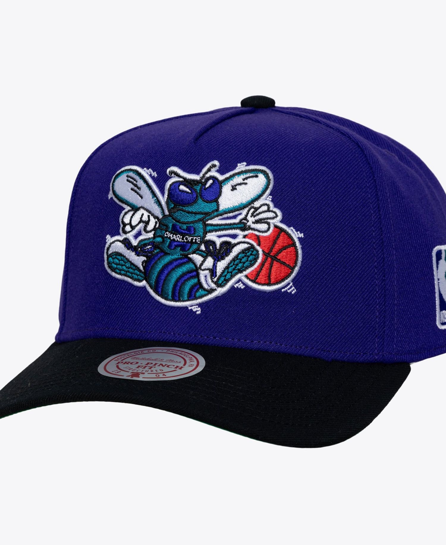 Men's Purple Charlotte Hornets Legendary Home Pro Pinch Snapback Hat