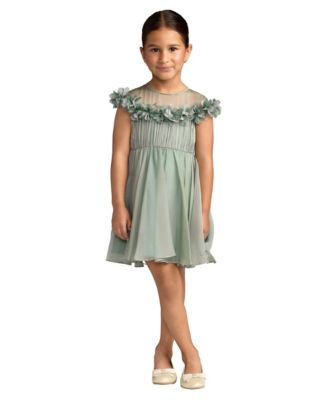 Big Girls Floral Applique Chiffon A-Line Dress