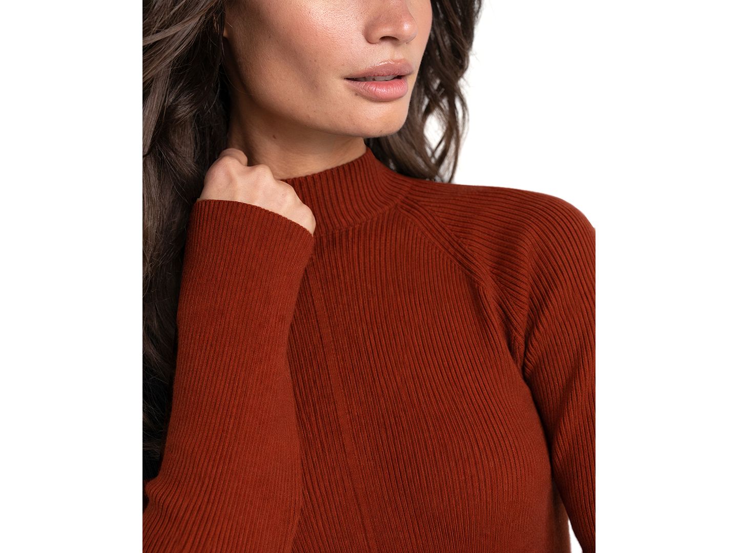 Женский свитер Liverpool Los Angeles Long-Sleeve Turtleneck Mixed-Ribbed, цвет: Каштаново-рыжий ржавый — фото 2
