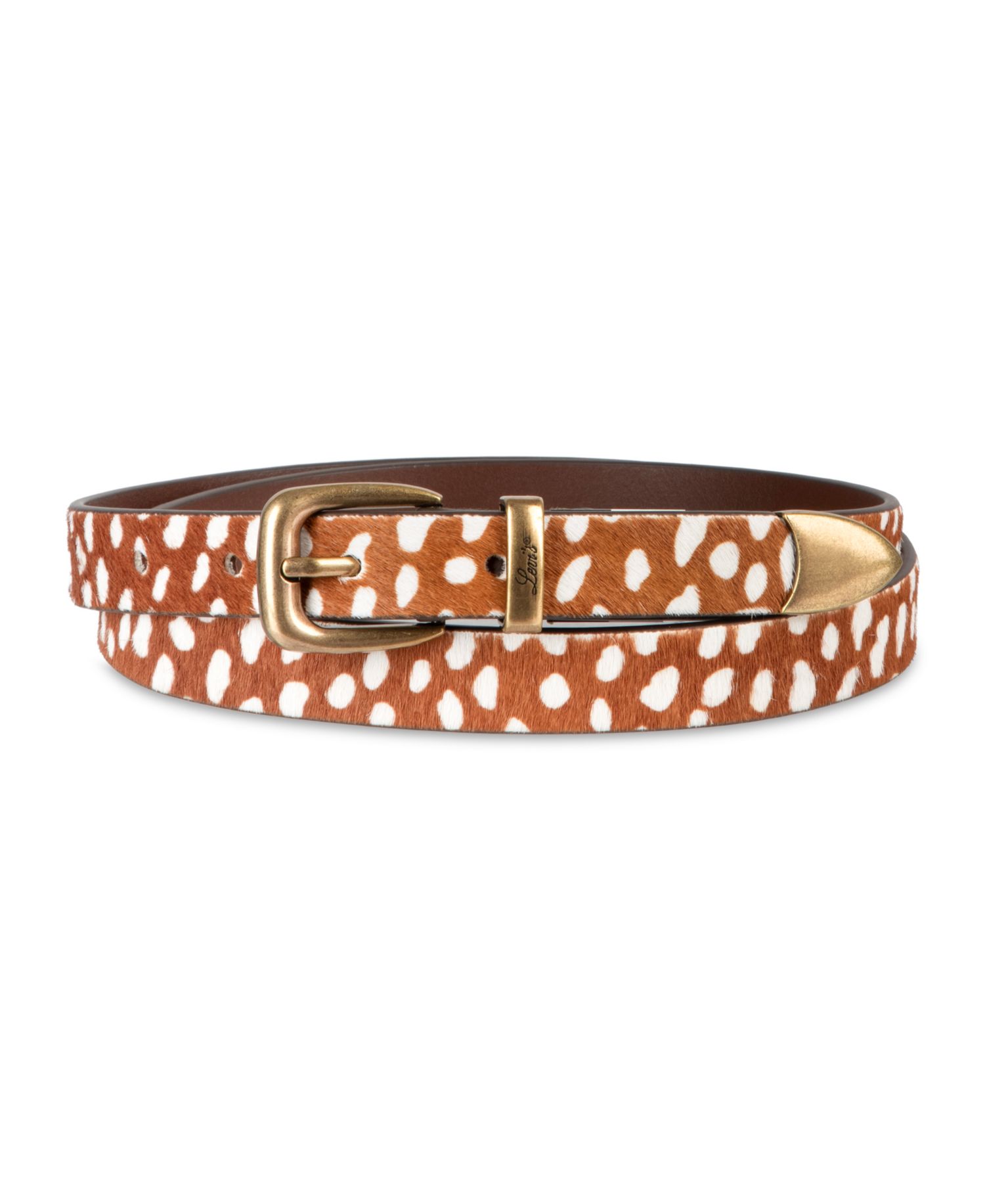 Skinny Western Metal Tip End Belt