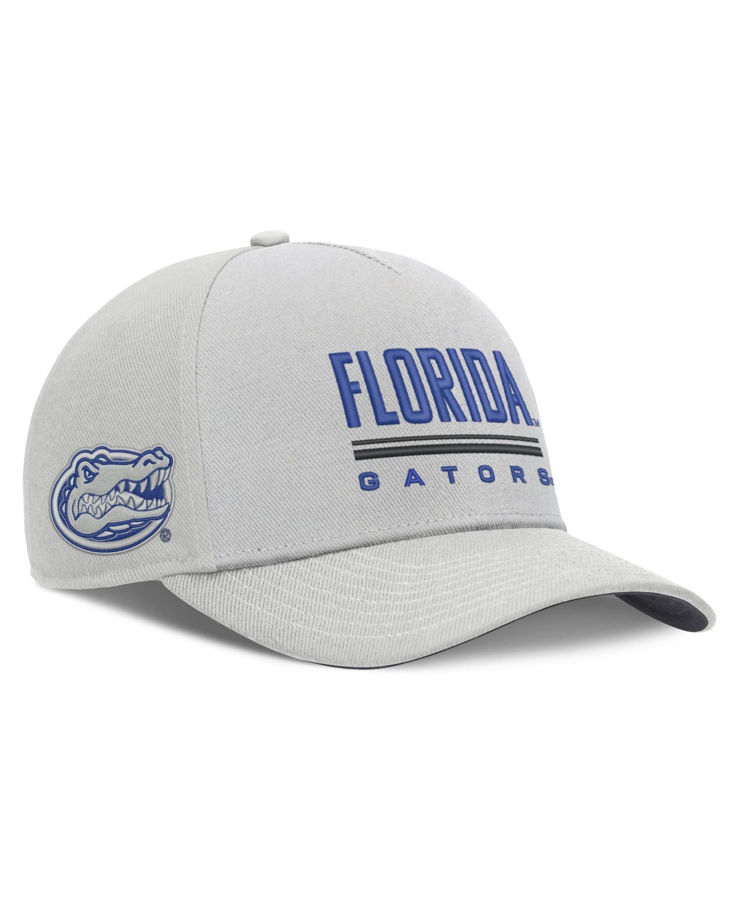 Men's Gray Florida Gators 2026 Sideline Dri-FIT Rise Adjustable Hat