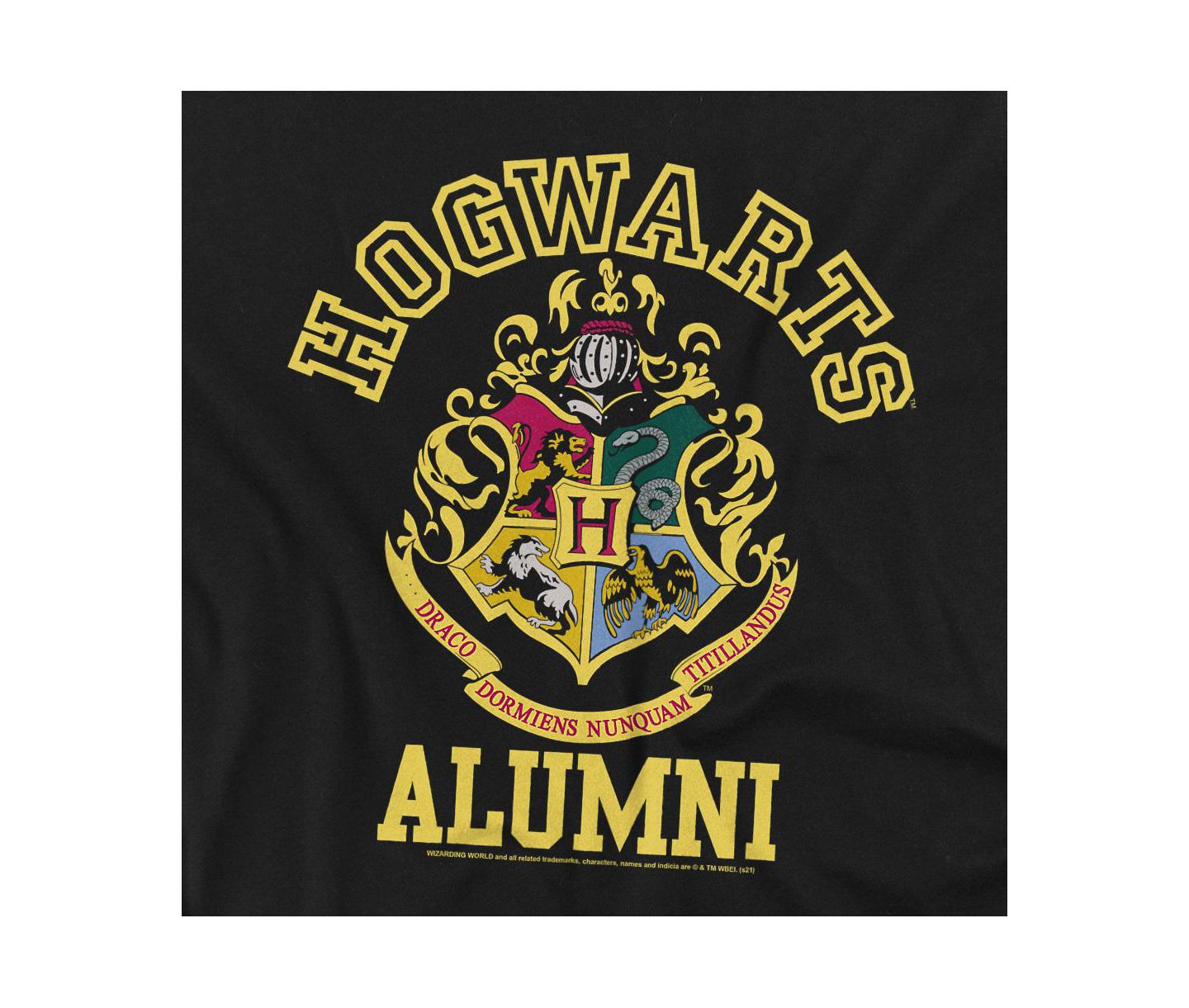 Мужская толстовка Harry Potter Hogwarts Alumni Crewneck, цвет: Чёрный — фото 2