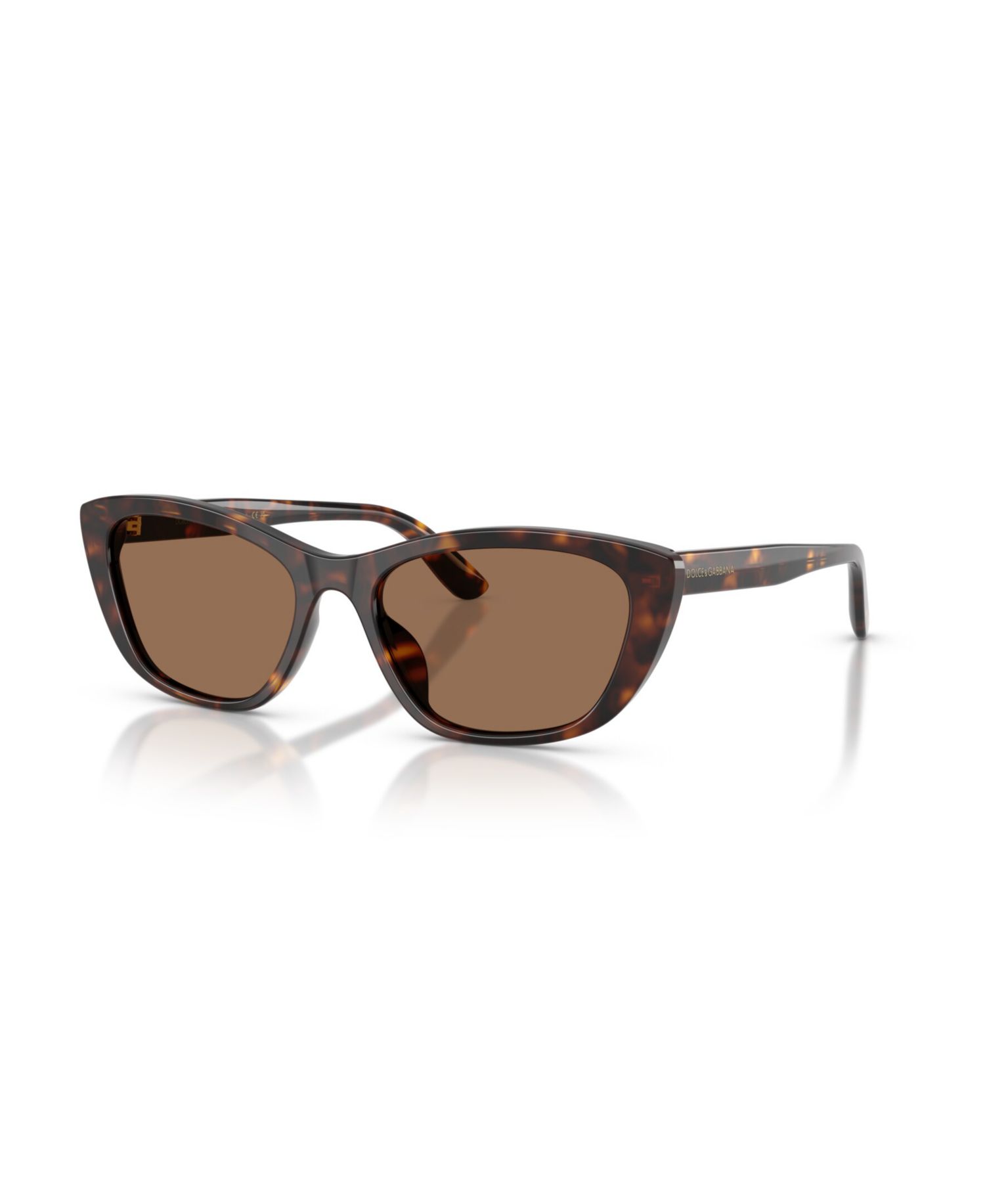 Dolce & Gabbana Women's DG4571 Cat-Eye Acetate Sunglasses