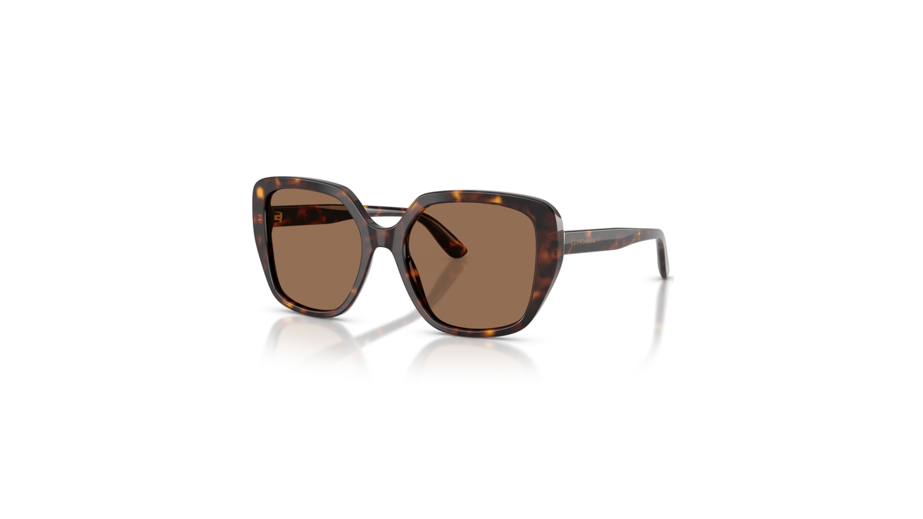 Dolce & Gabbana Women's Cat-Eye Sunglasses DG4569