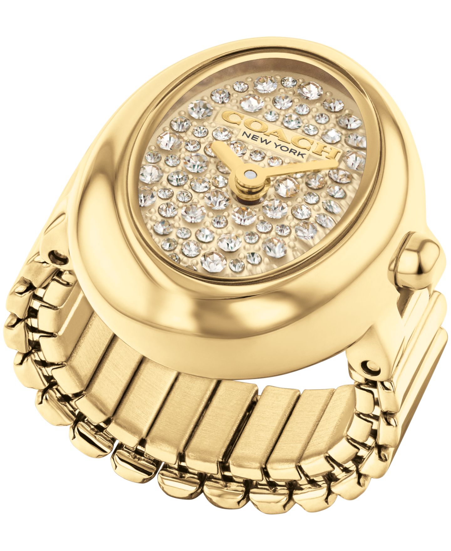 Женские часы Coach Sammy Quartz Gold-Tone Oval Watch 18mm — фото 3
