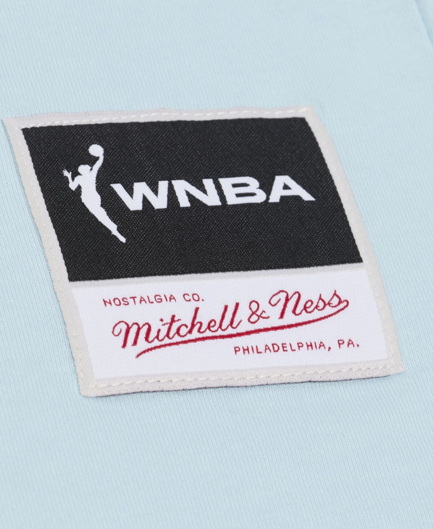 Мужская футболка Mitchell & Ness Powder Blue Portland Fire Logo Boxy — фото 5