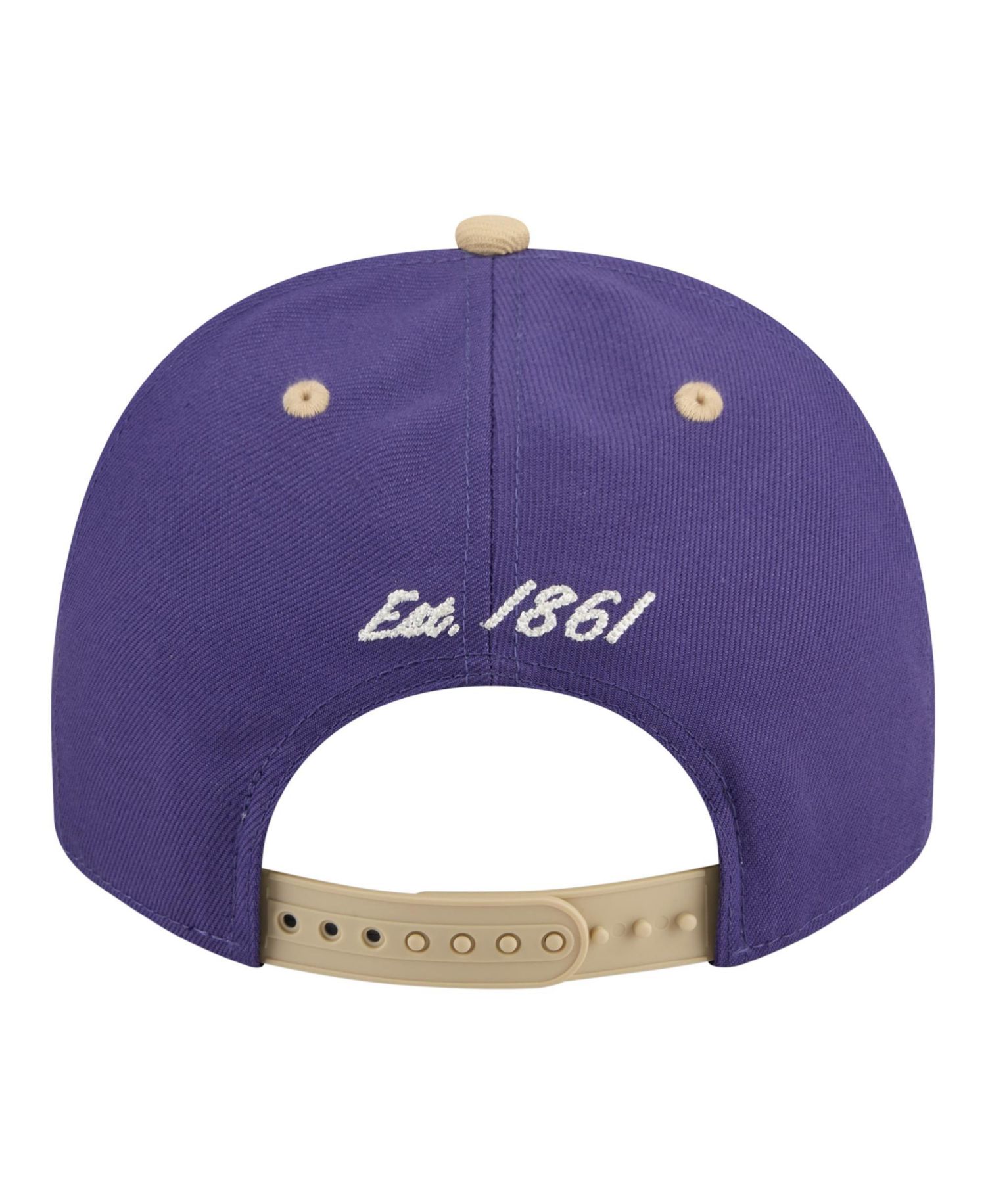 Men's Purple/Gold Washington Huskies Two-Tone Arched 9FIFTY Snapback Hat