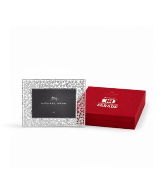 Macy's 100th Parade Star Frame, 4" x 6"