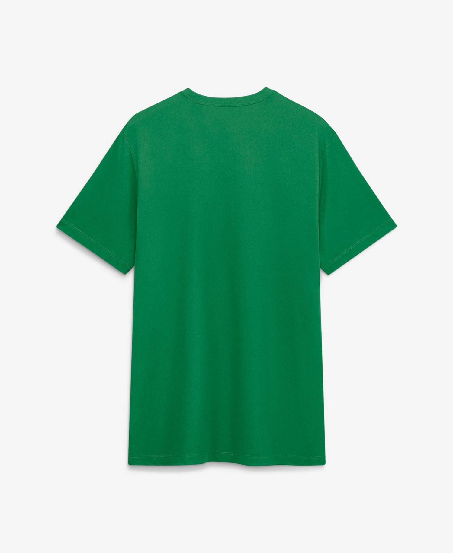 Men's Green Oregon Ducks Sideline Legend Dri-FIT T-Shirt