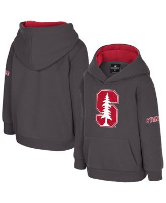 Toddler Charcoal Stanford Cardinal Big Logo Fleece Pullover Hoodie