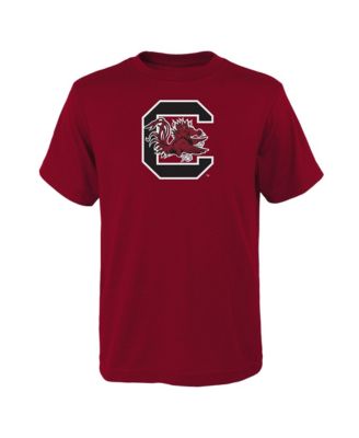 Big Boys and Girls Garnet South Carolina Gamecocks Primary Logo T-Shirt
