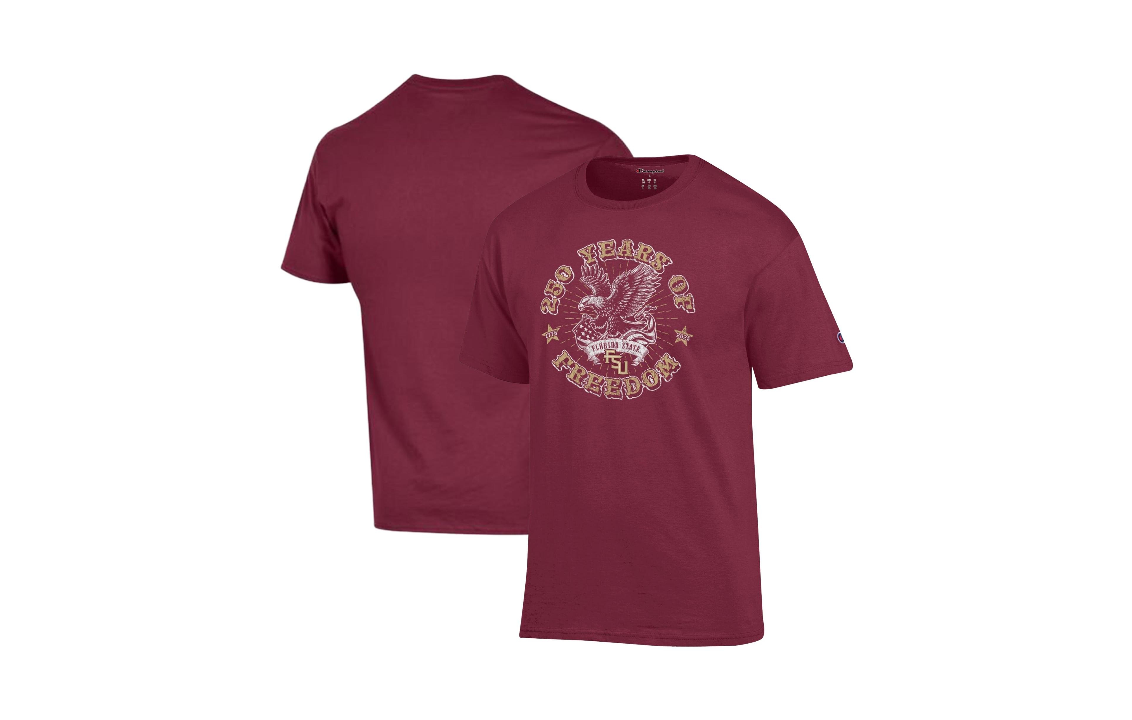 Champion Men's Graphic Relaxed-Fit Crewneck T-Shirt