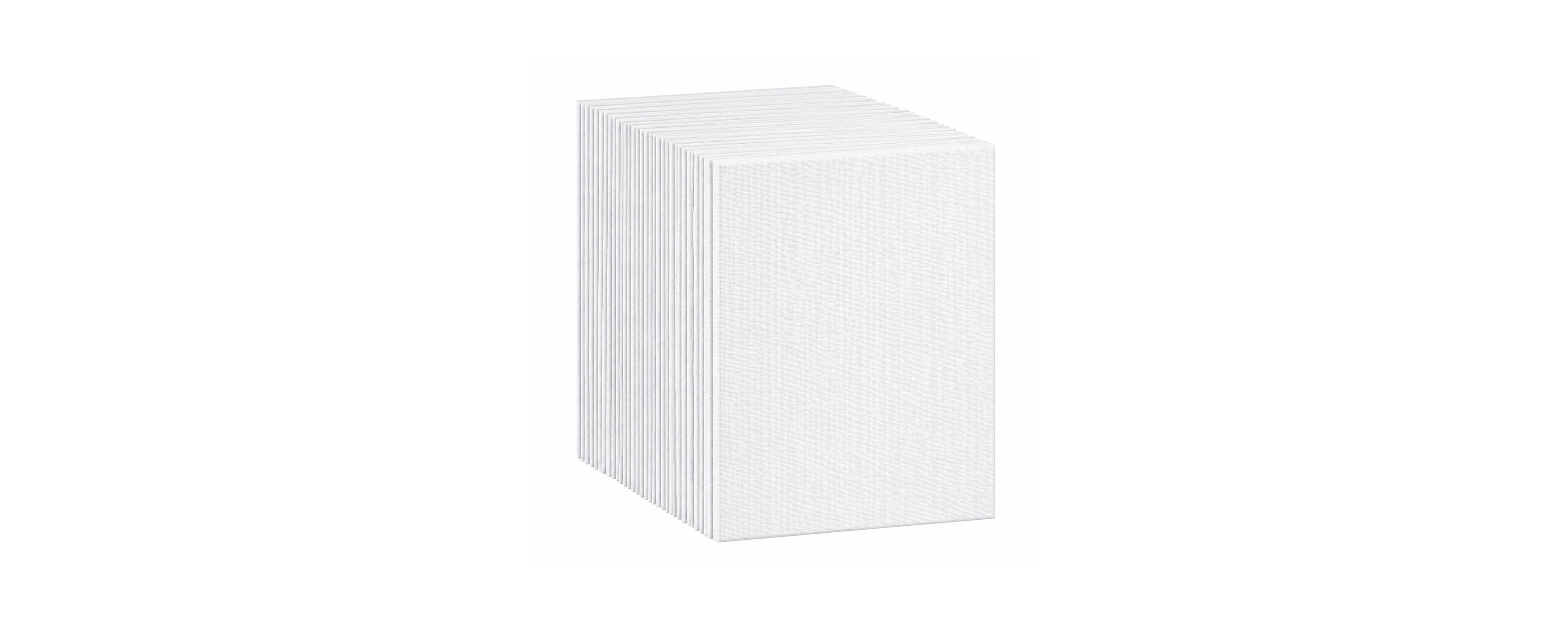 Lowking Pre primed Painting Canvas Boards For Artists Beginners Art Supplies 