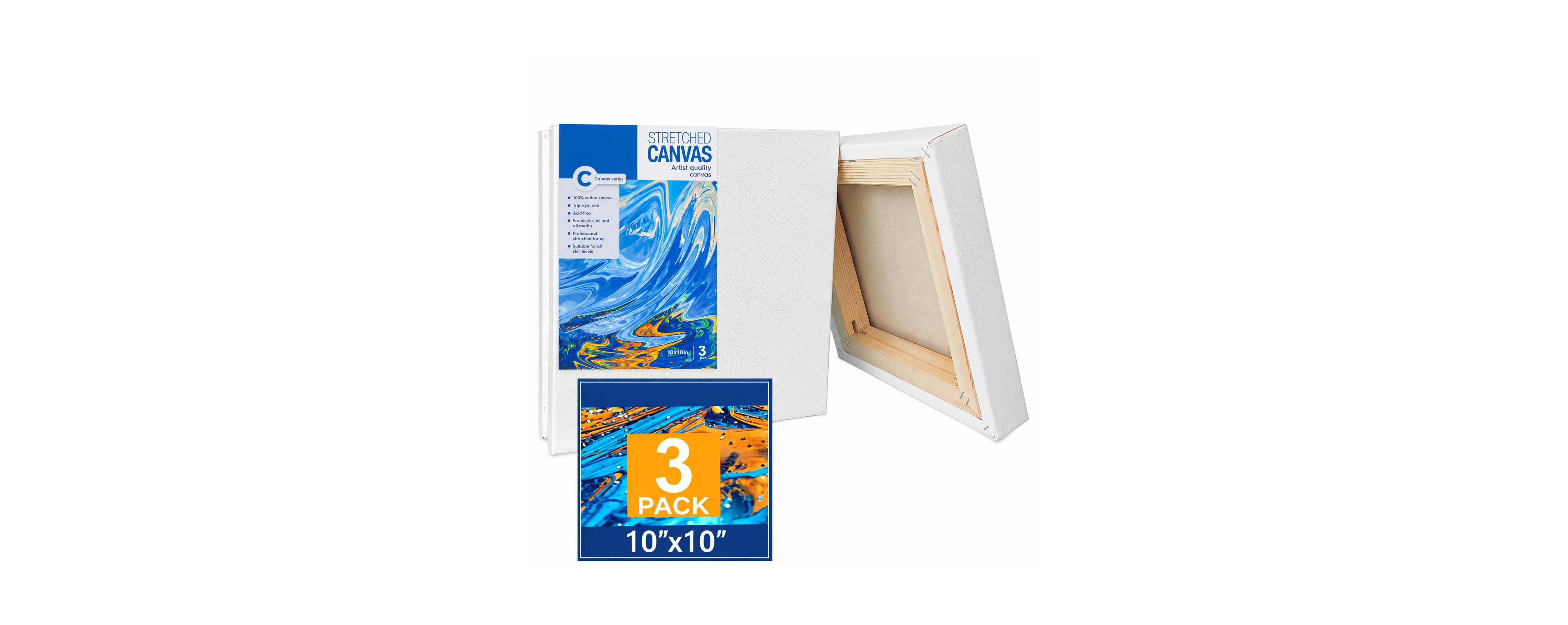 Lowking 18x24 Inch 5 Pack Blank Stretched Cotton Canvas Triple Primed for Acrylic Oil Pouring Art
