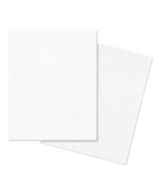 2 Pack Primed Polyester Canvas Panels Flat Rigid Art Painting Surfaces