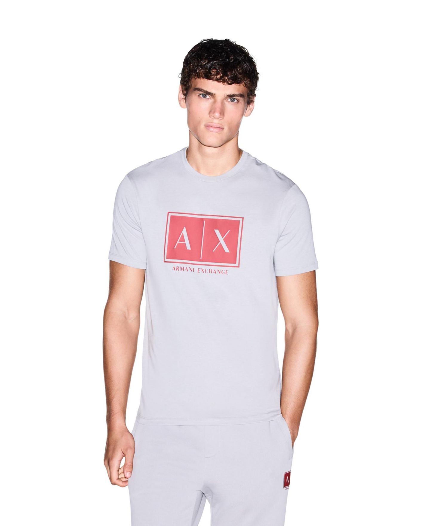 Мужская футболка A|X Armani Exchange Box Logo, цвет: Alloy — фото 1