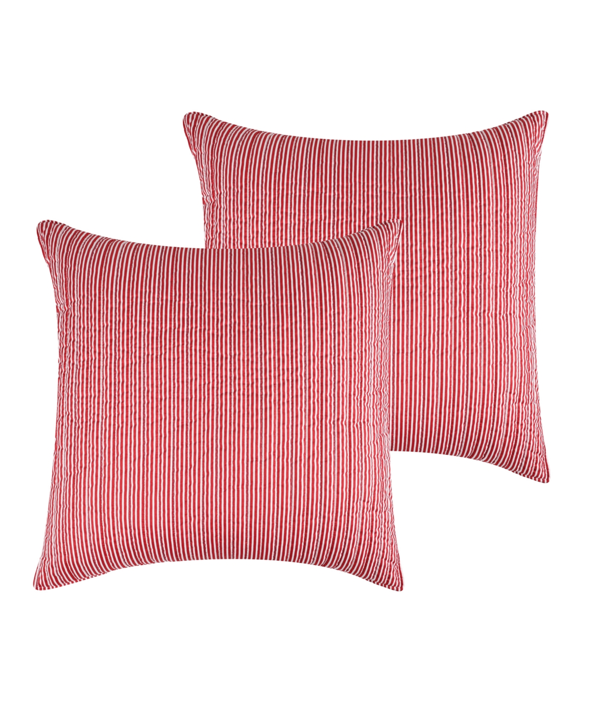 Levtex Home Tree Festival 2-Piece Sham Set, European