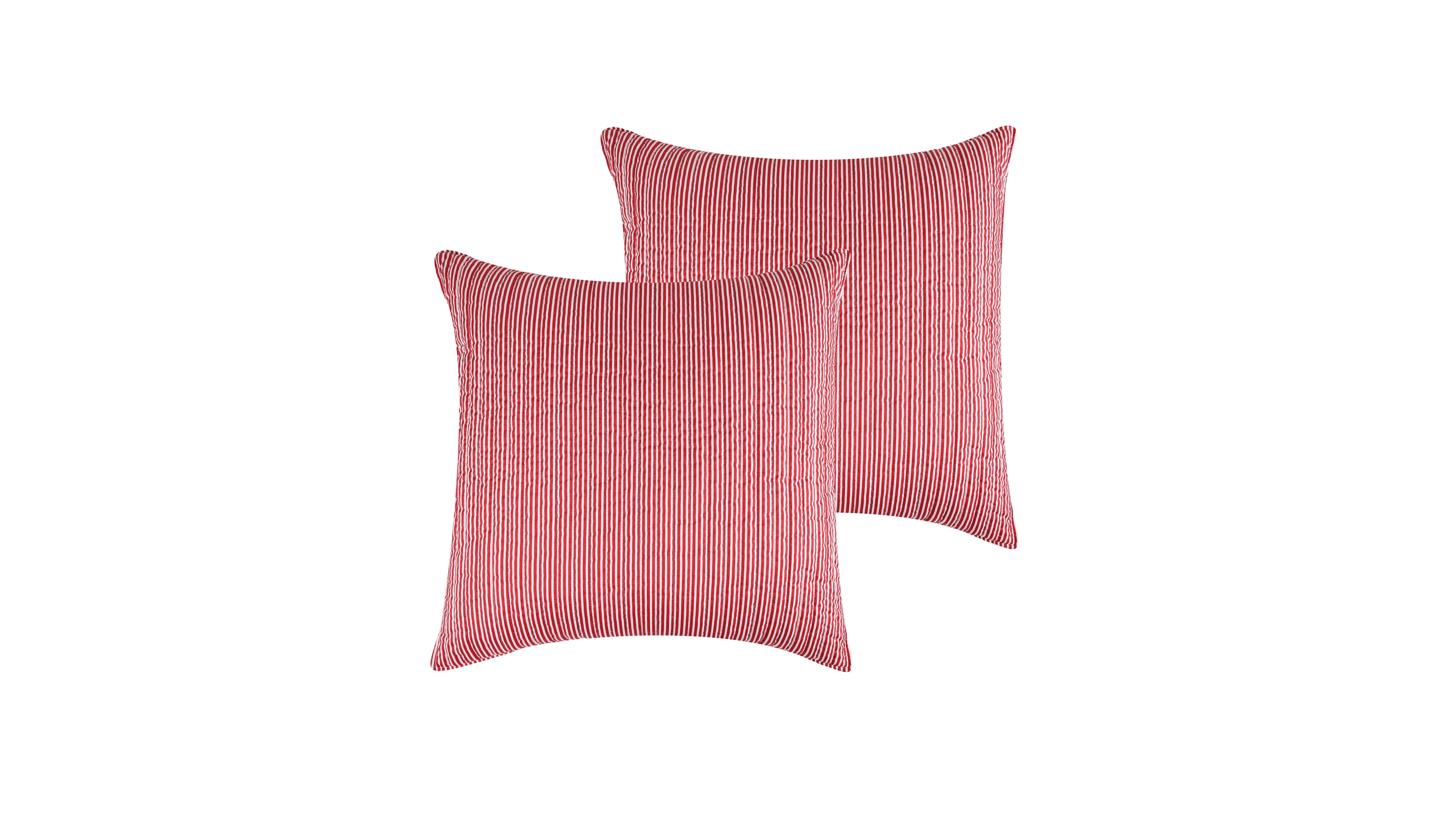 Levtex Home Tree Festival 2-Piece Sham Set, European
