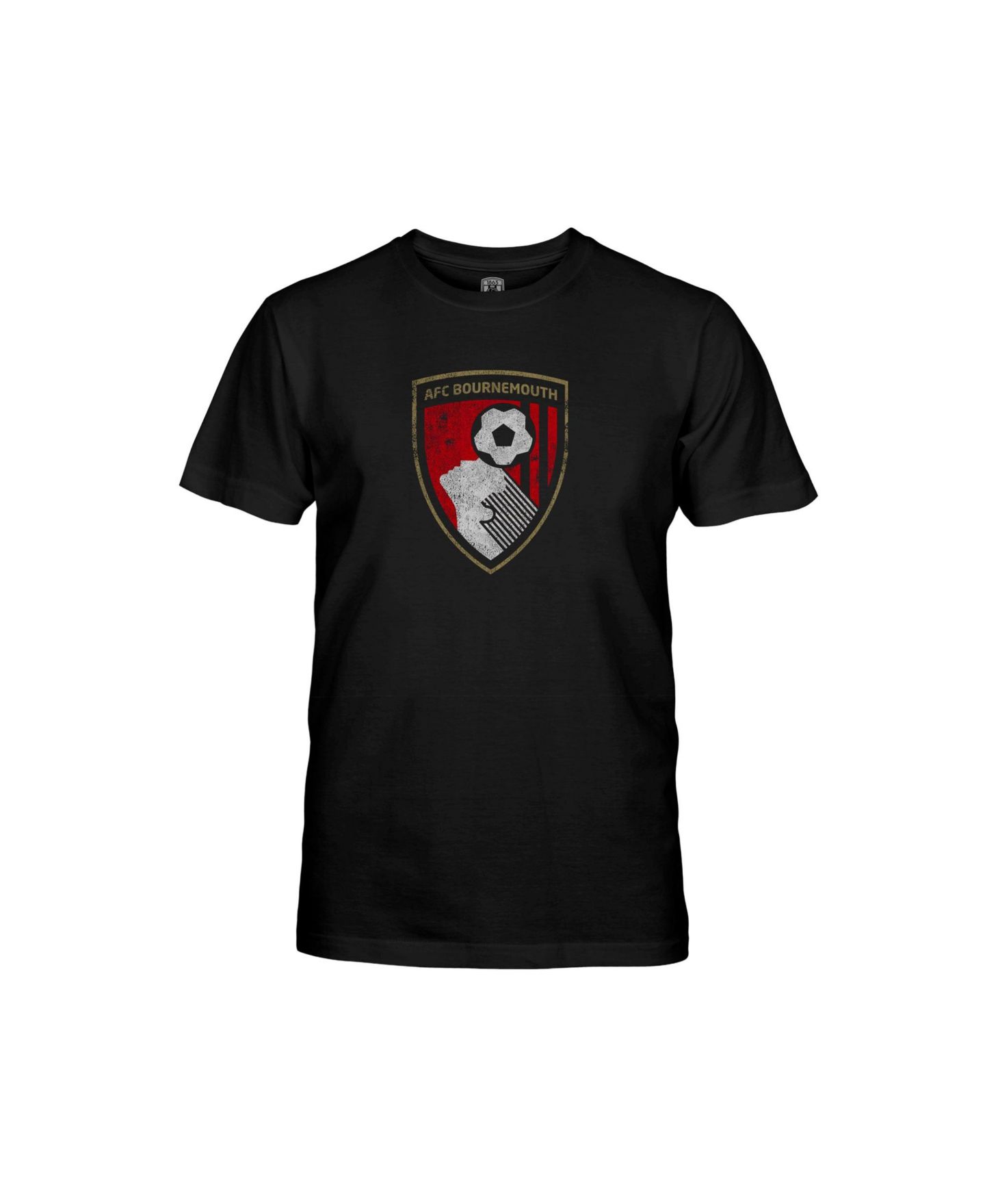 Детская футболка 1863FC Black AFC Bournemouth Color Badge — фото 2