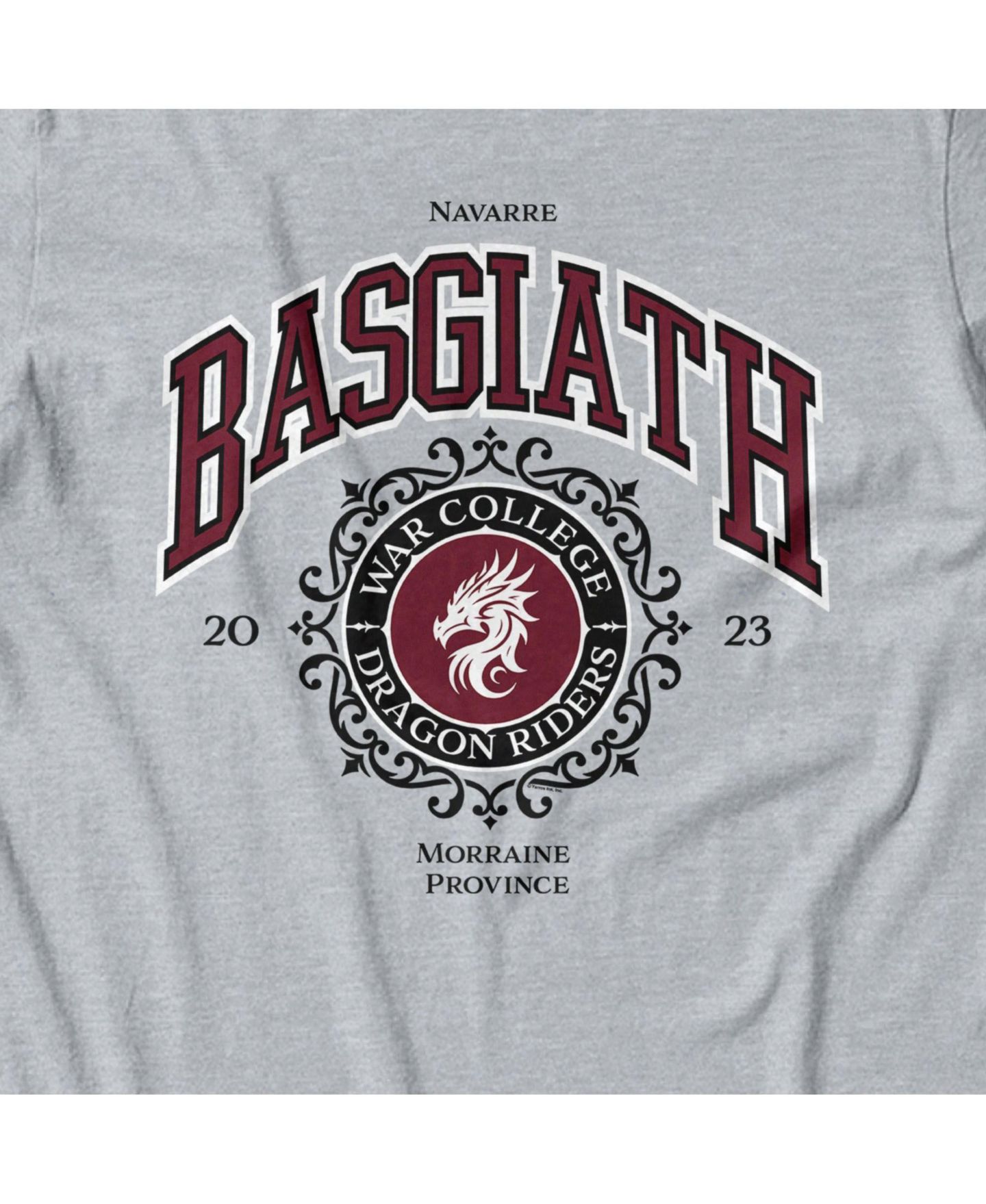Мужская футболка Fourth Wing The Empyrean Basgiath War College Dragon Riders Crewneck Graphic, цвет: Серый — фото 3