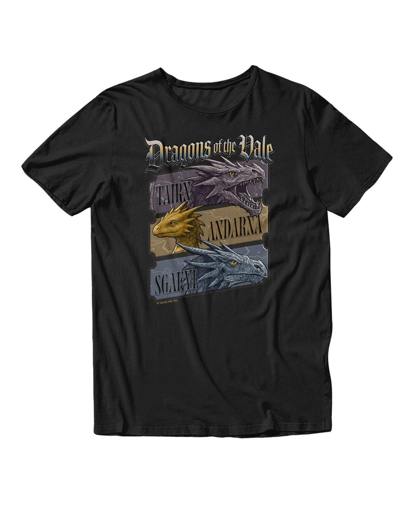 Мужские футболки Fourth Wing Tairn Andarna Sgaeyl Dragon Trio Graphic, цвет: Чёрный — фото 2