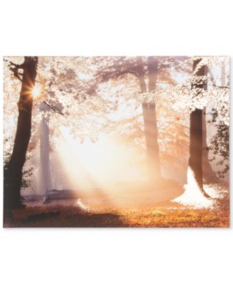 Graham & Brown - Metallic Forest Canvas Print