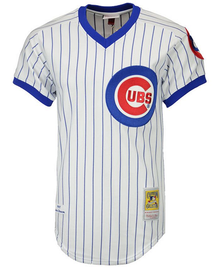 Mitchell & Ness Men's Andre Dawson Chicago Cubs Authentic Jersey ...