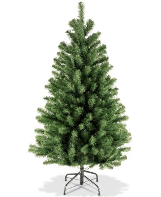 National Tree Company - 4' North Valley Spruce Tree