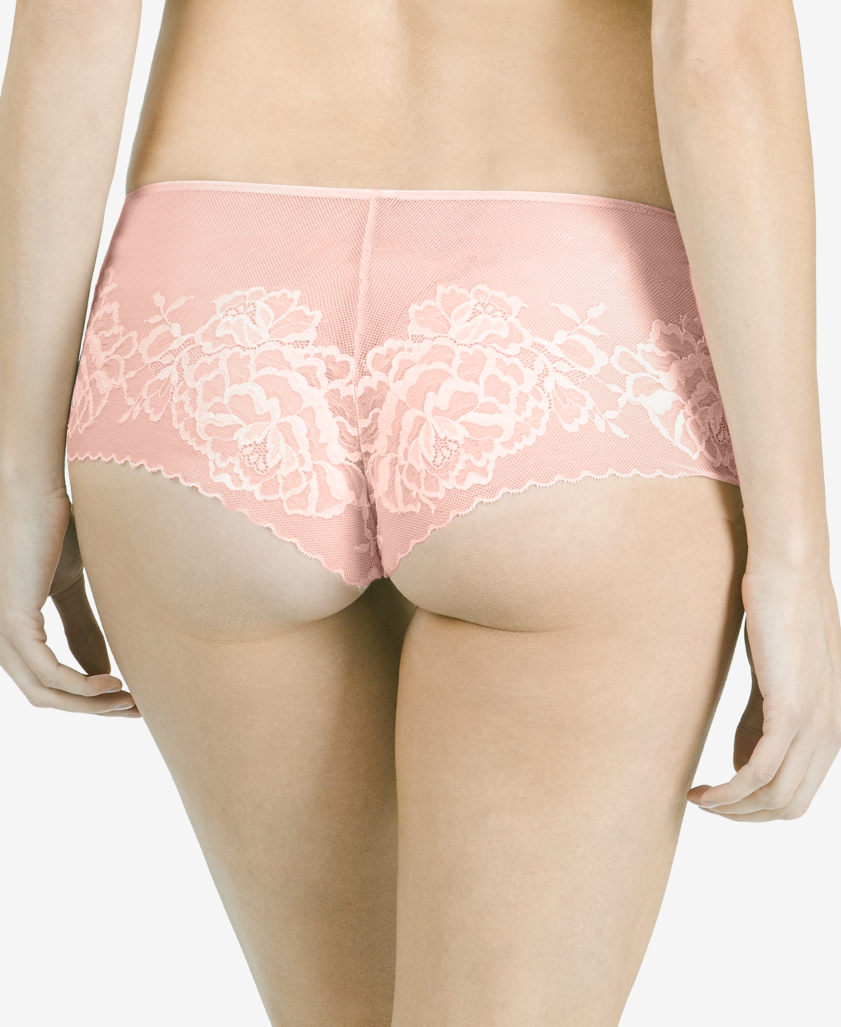 Natori Flora Sheer Lace Brief  -(Nude 4)