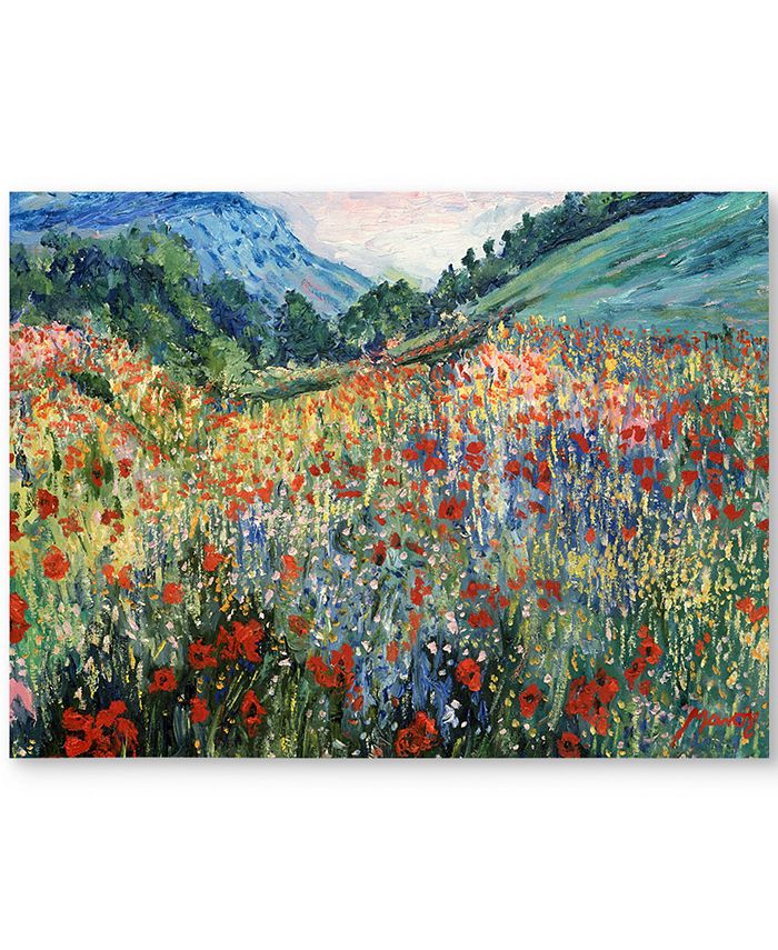 Trademark Global - 'Field of Wild Flowers' 30" x 47" Canvas Print