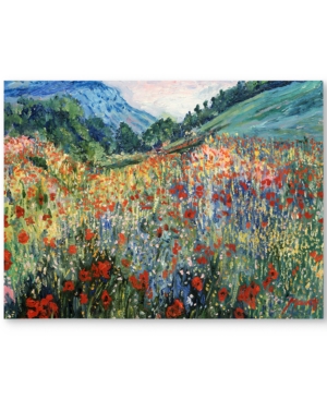 Trademark Global 'field Of Wild Flowers' Canvas Art In Multiple