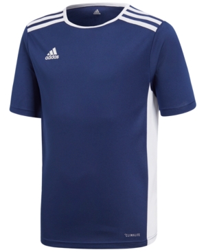 Adidas Big Boys Entrada Jersey
