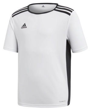 Adidas Big Boys Entrada Jersey