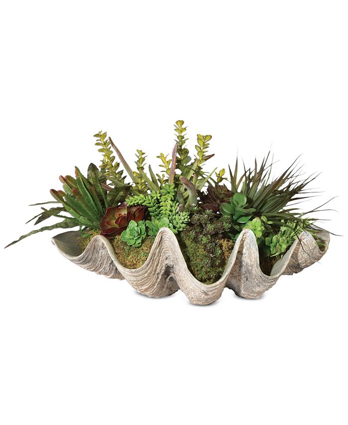 Uttermost 60233 Seaside Breeze - Succulents-10 Inches Tall and 23 Inches Wide main image 0