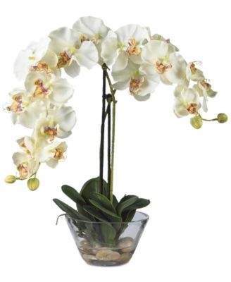 Nearly Natural - Phalaenopsis Flower Arrangement with Glass Vase