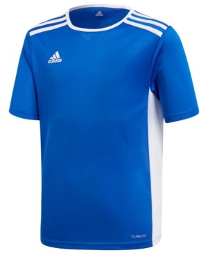 Adidas Big Boys Entrada Jersey