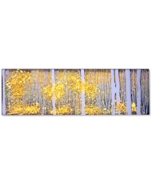 Trademark Global Roderick Stevens Panoraspens Grey Forest 16" X 47" Canvas Art Print