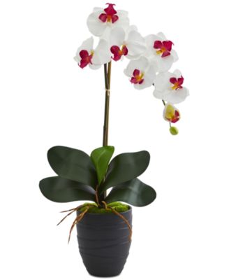 Nearly Natural - Phalaenopsis Orchid Artificial Arrangement in Black Ceramic Vase