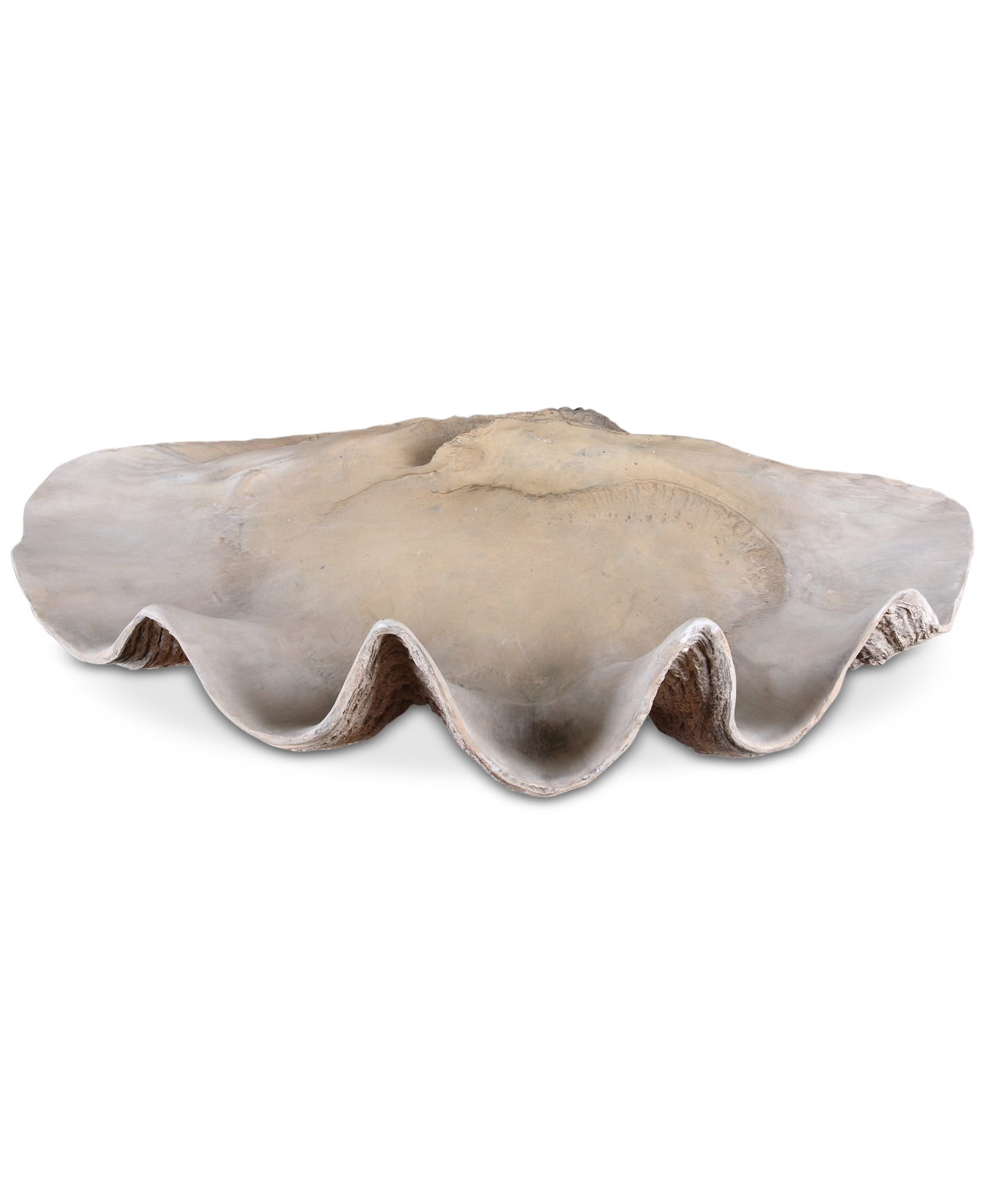 Clam Shell Bowl - Open Miscellaneous