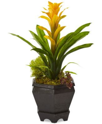 Bromeliad Artificial Plant in Black Hexagon Planter